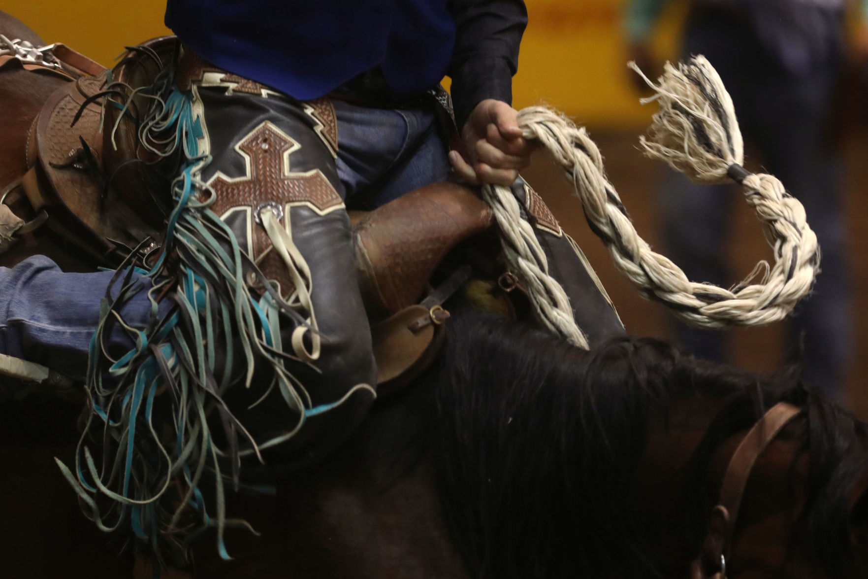 CNFR: Friday